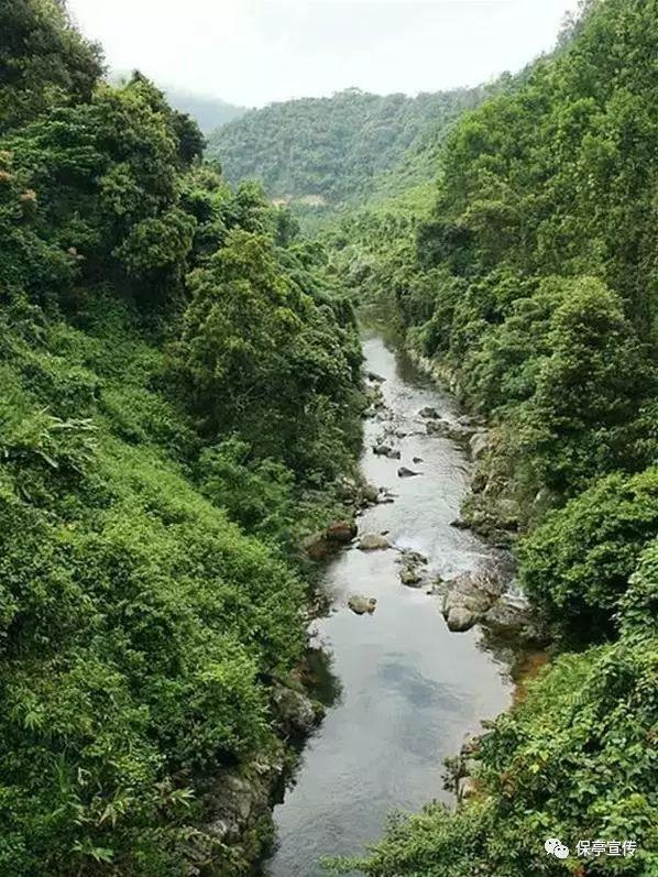 救援受困的小恐龙